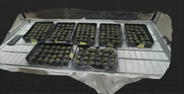 3D reconstruction of plant trays generated from captured data.