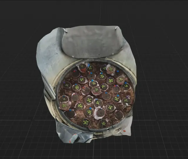 Single-plant captured scene reconstructed as a 3D model.